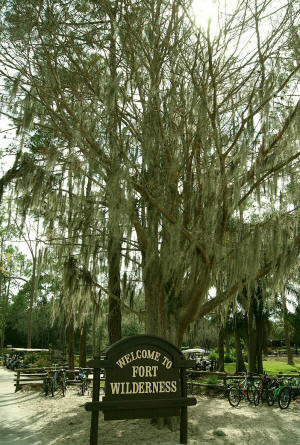 Spanish moss abounds at Fort Wilderness