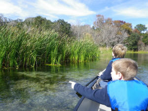 Canoeing at Salt Springs Recreation Area