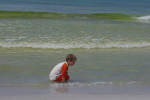 The beach at Topsail Hill Preserve State Park